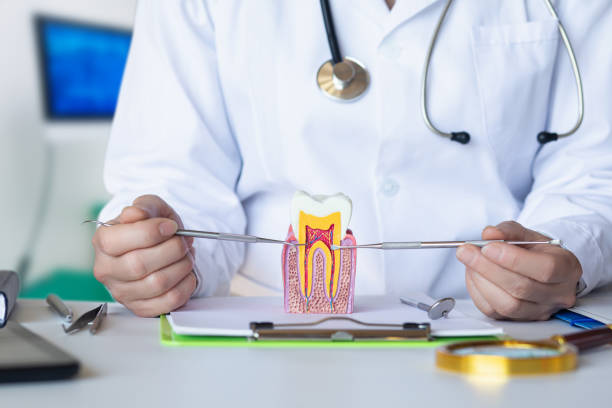 Best Emergency Root Canal Treatment in Crewe, VA